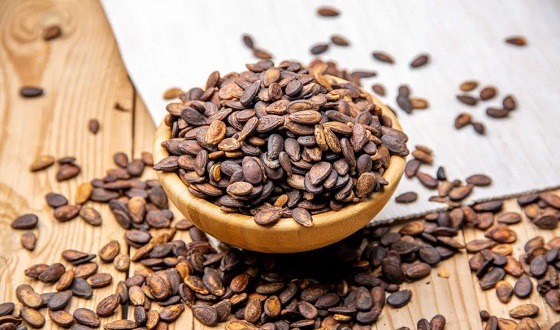 জেনে নিন তরমুজের বীজের কিছু উপকারীতা