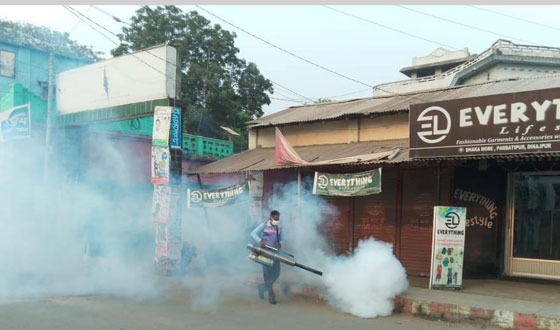 পার্বতীপুর পৌরসভায় মশক নিধন অভিযান শুরু