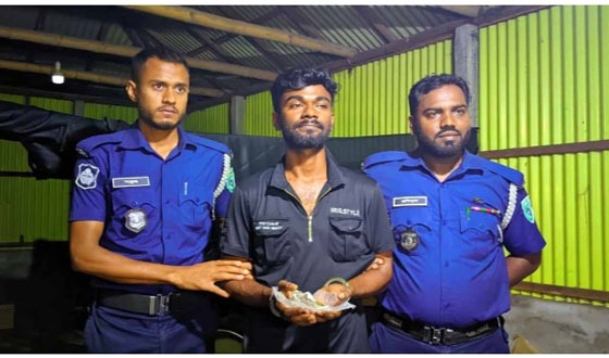 রাজিবপুরে মাদকসেবীকে কারাদণ্ড