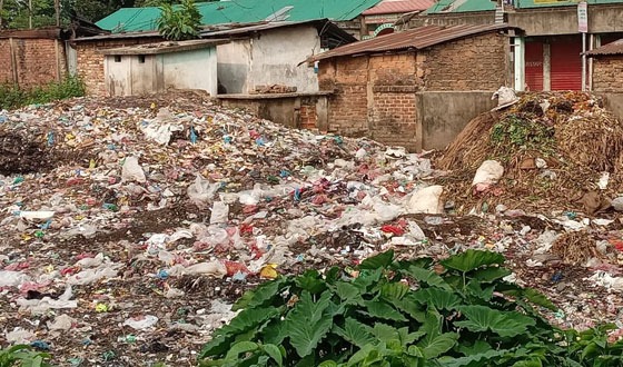কমলগঞ্জের শমশেরনগরে বাজার ইজারাদারদের ঠেলাঠেলির কারনে জনদুর্ভোগ