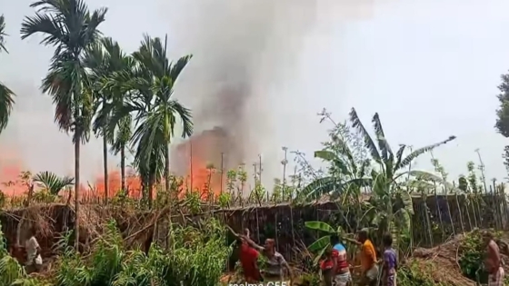 বাগমারায় অগ্নিকাণ্ডে ৮০ জন কৃষকের পানের বরজ পুড়ে ছাই