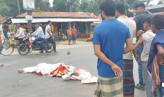বাসের ধাক্কায় মা ছেলের মৃত্যু