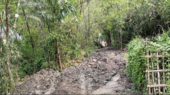 শৈলকুপায় টিআর,কাবিট ও কাবিখা প্রকল্পের অনিয়মের অভিযোগ