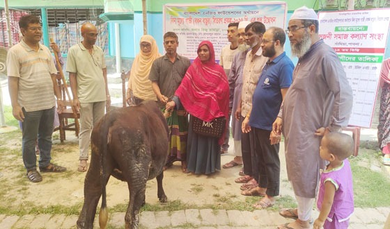 সাঁথিয়ায় সৃজনী সমাজ কল্যাণ সমিতির উদ্যোগে গাভী বিতরণ