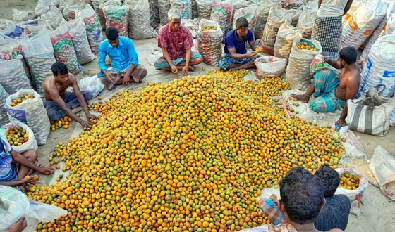 সুপারি বাণিজ্যের জন্য বিখ্যাত লালমনিরহাটের বড়বাড়িহাট