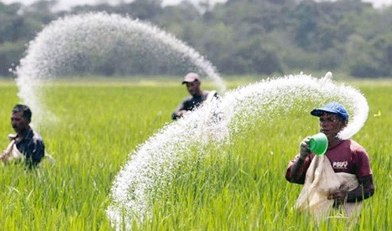 বেড়েই চলেছে গ্যাস-বিদ্যুৎ ও সারে সরকারের ভর্তুকির পরিমাণ