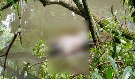 পরিত্যাক্ত পুকুর থেকে বাকপ্রতিবন্ধীর লাশ উদ্ধার