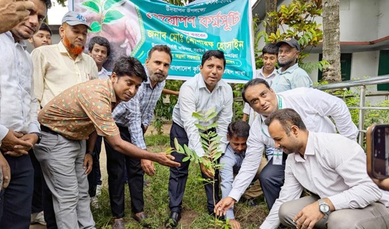 সরাইলে বৃক্ষরোপন কর্মসূচির উদ্বোধন