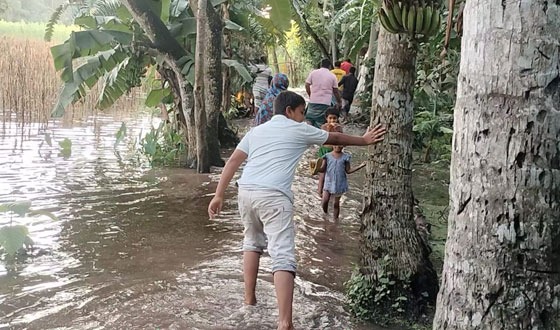 পুঠিয়ায় শতশত পরিবার পানিবন্দী হয়ে পড়েছে