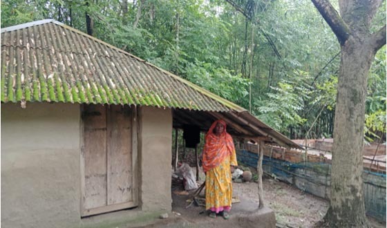 আশাশুনির গোয়ালডাঙ্গায় বৃদ্ধা মালেকার ভিটে বাড়িতে জবর দখল