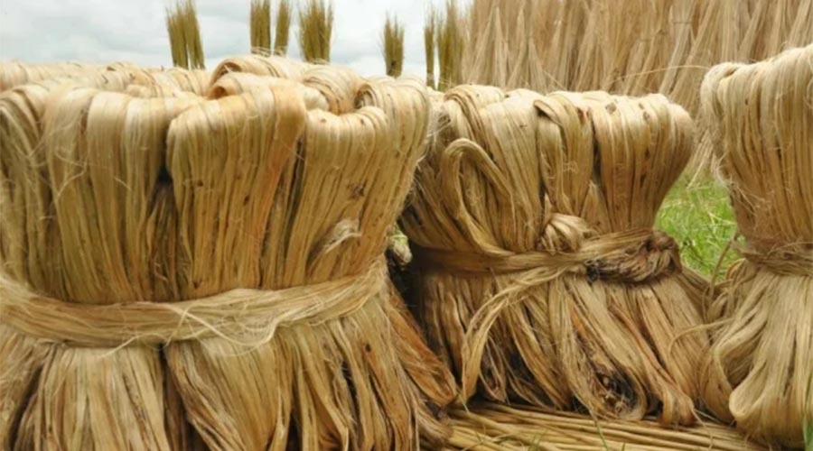 ভারত-বাংলাদেশ বাণিজ্যে নতুন ধাক্কা, স্থলপথে পাটপণ্য আমদানিতে কড়াকড়ি