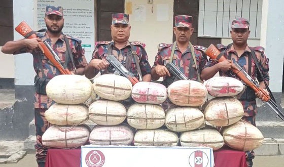 মাদকের বিরুদ্ধে বিজিবির বড় আঘাত: ৮২ কেজি গাঁজা জব্দ