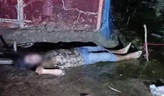 সেনবাগে আটোচালকের লাশ উদ্ধার, মৃত্যু নিয়ে রহস্য