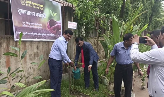 সেনবাগে পূর্বালী বাংক ছমির মুন্সিরহাট শাখার উদ্যোগে বৃক্ষ রোপন