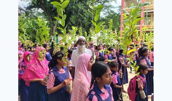 টাঙ্গাইলে শিক্ষা প্রতিষ্ঠানে বিনামূল্যে গাছের চারা বিতরণ