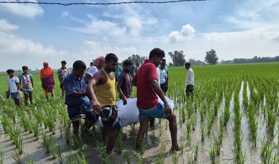 ক্ষেতলালে গভীর নলকূপের পাহারাদাকে জবাই করে হত্যা