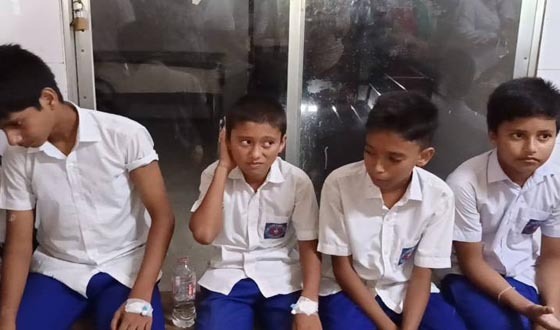 শেরপুরে ভিমরুলের কামড়ে ১৬ শিক্ষার্থী আহত