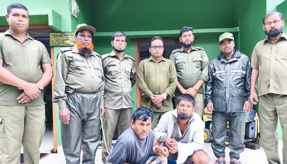 সুন্দরবনে বন বিভাগের অভিযানে ২ হরিণ শিকারী আটক