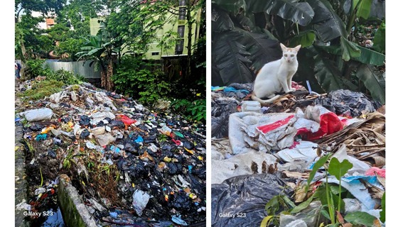 বাজিতপুর পৌর শহরের বিভিন্ন জায়গায় আবর্জনার ভাগাড়