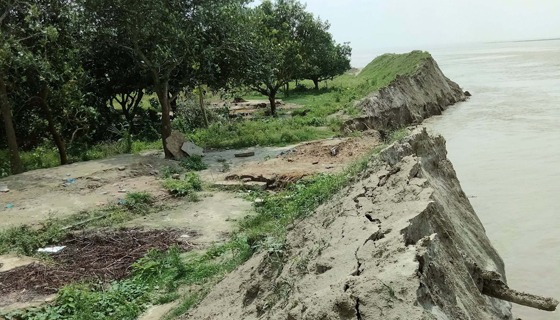 বাঘায় পদ্মার একদিকে পানি কমছে, অন্যদিকে ভাঙছে পাড়