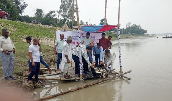 মাছের পোনা অবমুক্তকরণ