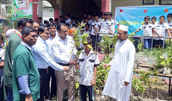 "সবুজে সাজাই বাংলাদেশ"এ স্লোগানে মোরেলগঞ্জে বৃক্ষরোপণ কর্মসূচি