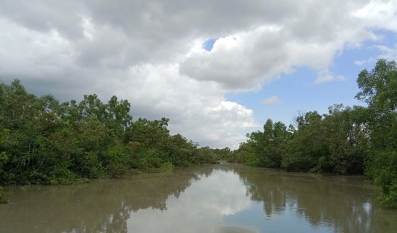৩ মাসের নিষেধাজ্ঞা শেষ , খুলে দেয়া হচ্ছে সুন্দরবনের দুয়ার