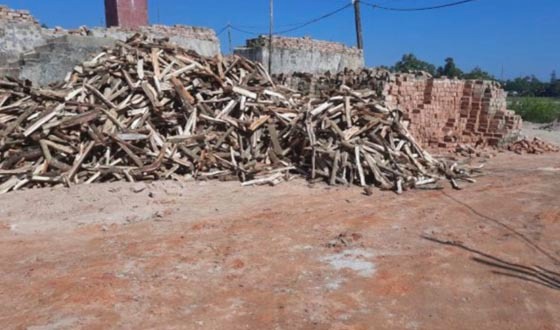 বেগমগঞ্জে বিদ্যালয় এর পাশেই চলছে অবৈধ ইট বাটা,স্বাস্থ্য ঝুঁকিতে শিশু শিক্ষার্থীরা