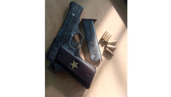 মেহেরপুরের মুজিবনগরে অস্ত্র গুলিসহ আটক ১