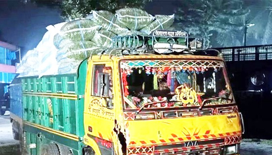 জামালপুরে সড়ক দুর্ঘটনায় আহত ১ নিহত ২