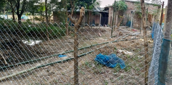 তানোরে বিএনপি নেতার বিরুদ্ধে সরকারি জায়গা দখলের অভিযোগ