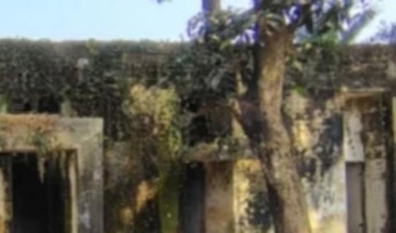 দীর্ঘদিনের অবহেলা ও অনিয়মে স্বাস্থ্য ও পরিবার কল্যাণ কেন্দ্রটি সম্পূর্ণ ধ্বংসপ্রায়