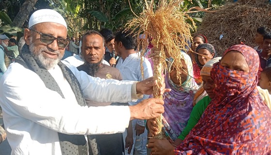 চিরিরবন্দরের সাতনালায় বিএনপির নির্বাচনী গনসংযোগ, মতবিনিময়, উঠান বৈঠক ও দোয়া