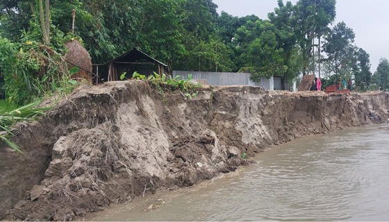 নাগেশ্বরীতে শুকনো মৌসুমেও থেমে নেই নদী ভাঙন