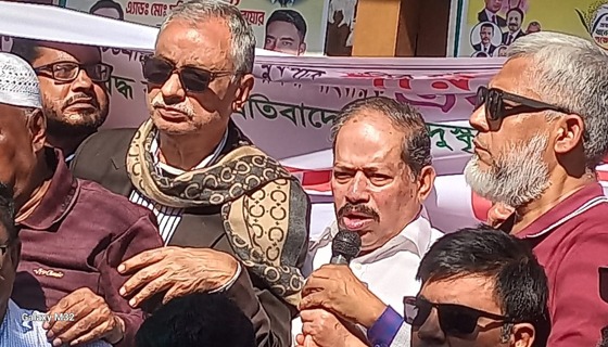 পতিত সরকারের দোসররা দেশের স্থিতিশীলতা নষ্ট করতে চায় : সরোয়ার