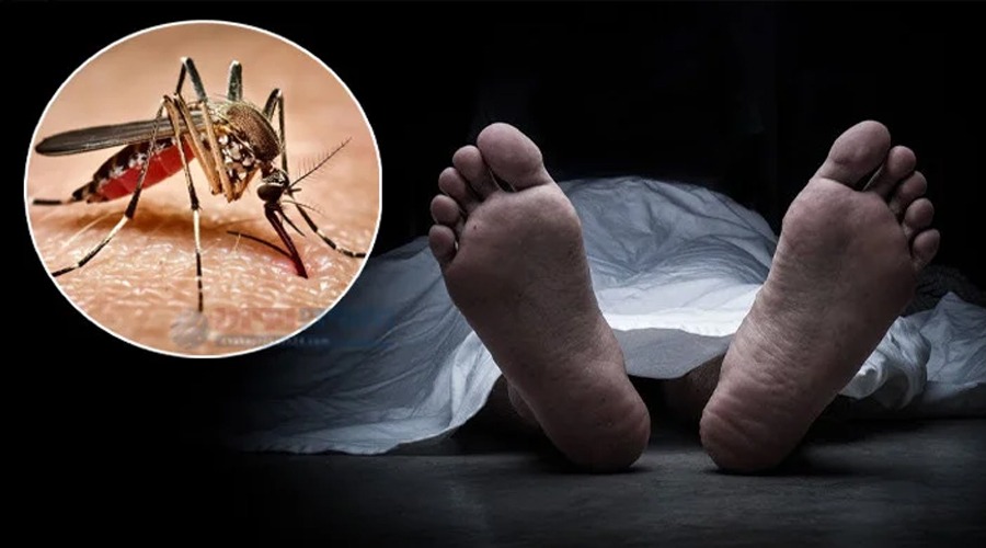 ডেঙ্গুতে আরও ৫ জনের মৃত্যু, হাসপাতালে রোগীর ভীড়