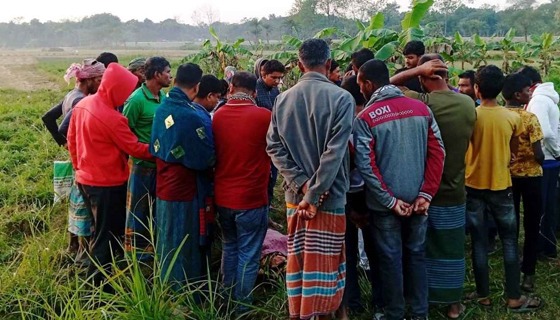 ঝিনাইদহে পেঁয়াজ ক্ষেতে যুবকের লাশ