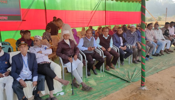 ঈদগাঁও সাড়ম্বরে বিজয় দিবস পালন