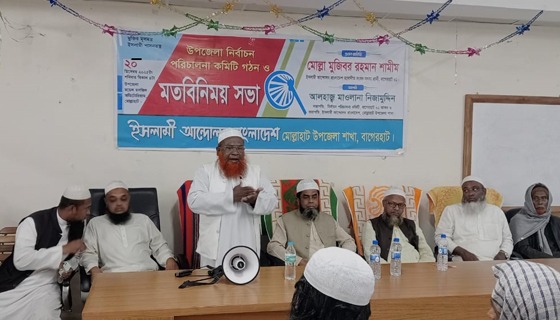 মোল্লাহাটে ইসলামী আন্দোলন বাংলাদেশের উপজেলা নির্বাচন পরিচালনা কমিটি গঠন