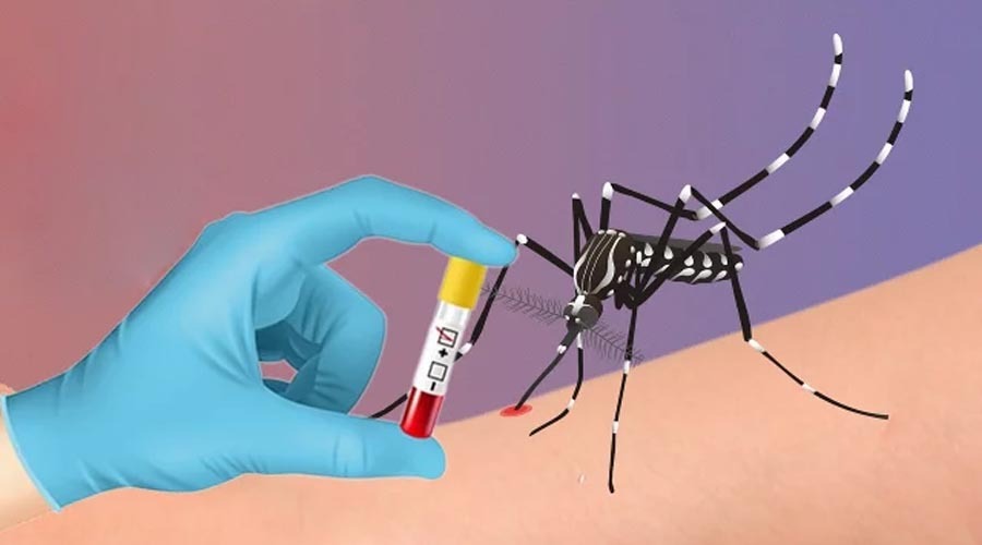 ডেঙ্গু: প্রাণ গেল আরো ২ জনের, হাসপাতালে ভর্তি ১৯৪