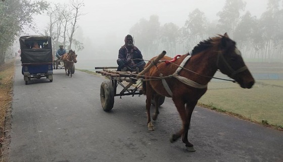 নাগেশ্বরীতে শীতে কাবু ছিন্নমূল মানুষ