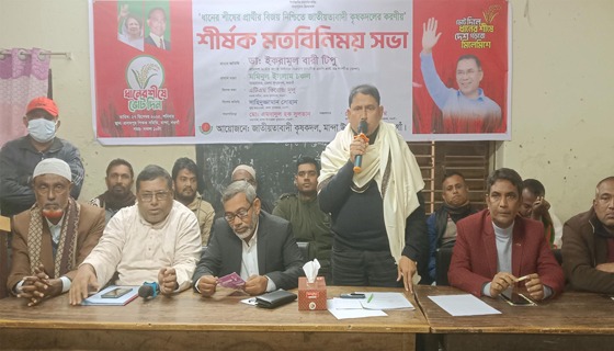 মান্দায় কৃষকদলের মতবিনিময় সভা