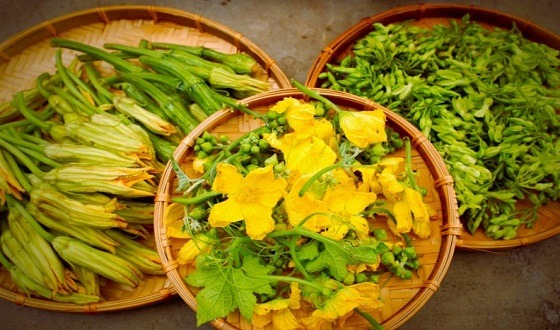 যে কারণে কুমড়ার ফুল খাবেন