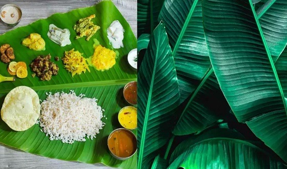 ছোট একটা পরিবর্তনে পেটের সমস্যা দূর করা সম্ভব