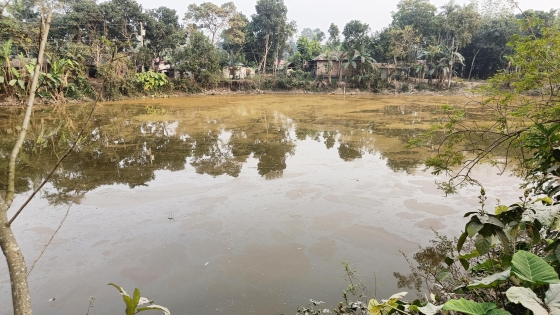 বাগমারায় মন্দিরের পুকুর দখলে নেয়ার চেষ্টা, তারেক জিয়া প্রজম্ম দল নেতার বিরুদ্ধে অভিযোগ
