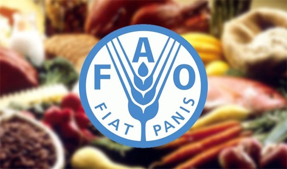 খাদ্যপণ্যের দাম বিশ্ববাজারে কিছুটা কমেছে