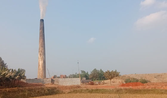 পীরগঞ্জে অর্ধ শতাধিক অবৈধ ইটভাটার বিরুদ্ধে কোন ব্যবস্থা নেয়নি প্রশাসন