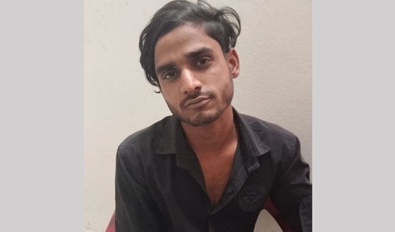 সাটুরিয়ায় নাতির হাতে দাদীর মৃত্যু