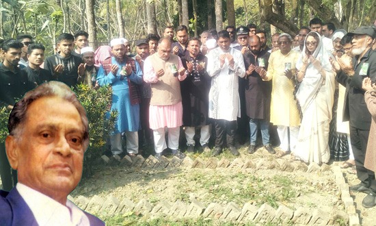 ভাষা সৈনিকের জন্মভূমিতে ব্যাপক কর্মসূচি পালিত