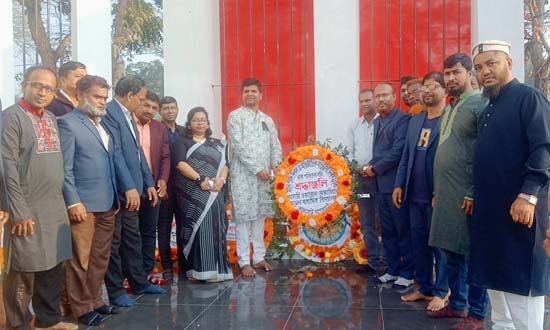 মোল্লাহাটে শহিদ দিবস ও আন্তর্জাতিক মাতৃভাষা দিবস উদযাপিত